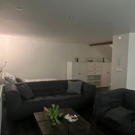 Apartman Tritt Ein Bring Glueck Herein - Exquisite 75 Qm - Messenaehe - Parkplatz - Flughafennaehe Düsseldorf