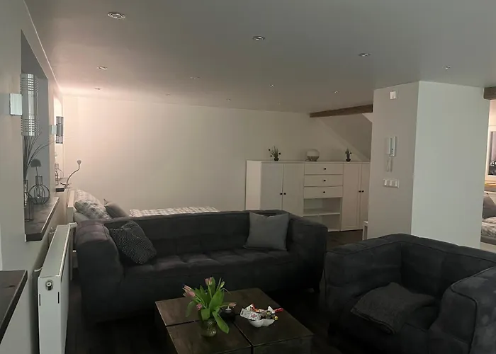 Apartman Tritt Ein Bring Glueck Herein - Exquisite 75 Qm - Messenaehe - Parkplatz - Flughafennaehe Düsseldorf